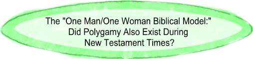 Did polygamy exist during New Testament times?